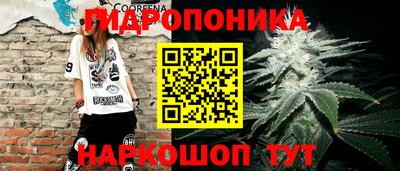 ешки Аргун