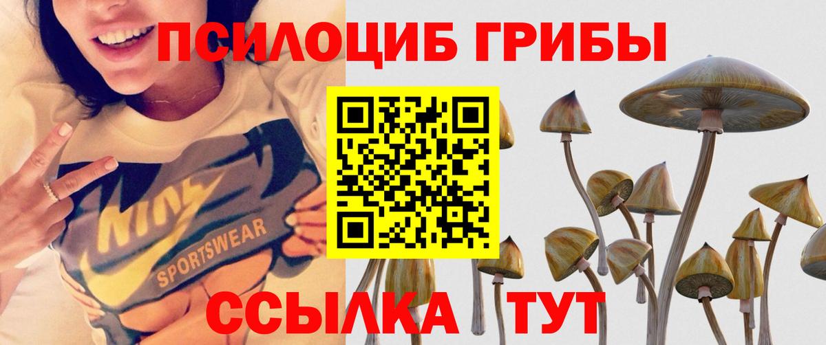 Апшеронск  Галлюциногенные грибы Psilocybine cubensis  как найти наркотики  Вход с VPN 